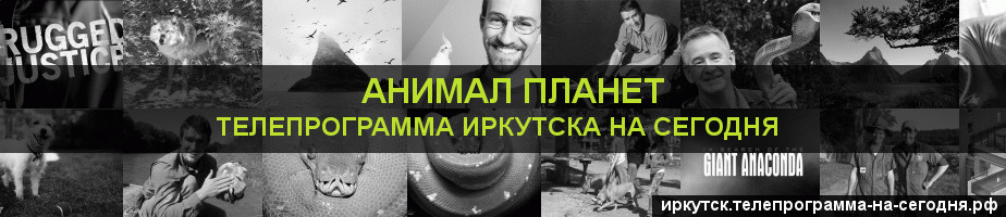 Телепрограмма на сегодня канала Анимал Планет, Иркутск