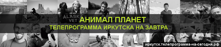 Телепрограмма на завтра канала Анимал Планет, Иркутск
