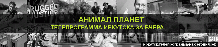 Телепрограмма за вчера канала Анимал Планет, Иркутск
