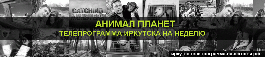 Телепрограмма на неделю канала Анимал Планет, Иркутск